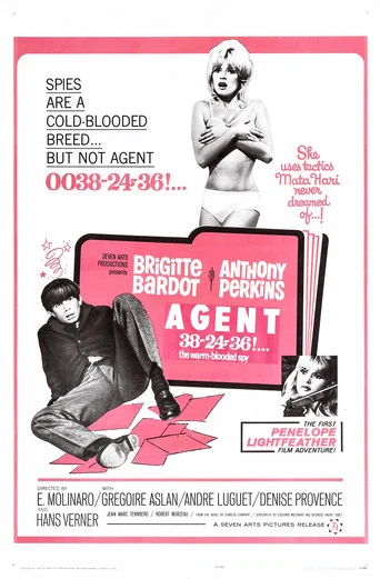 Movie poster for Agent 38-24-36 (1964)