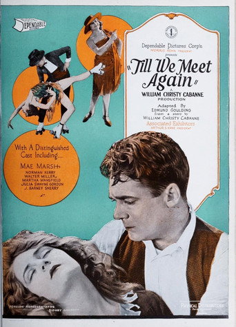Till We Meet Again poster