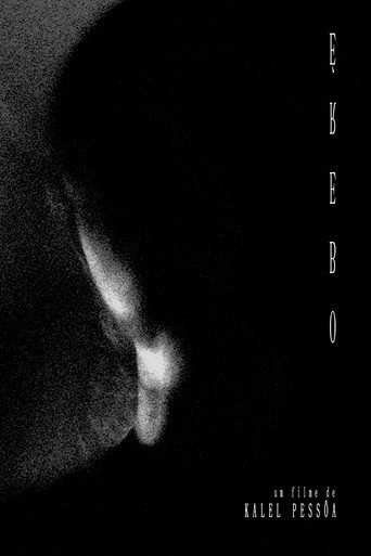Movie poster for Erebus (2025)