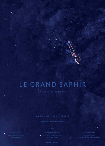 Movie poster for The Great Saphir (2018)