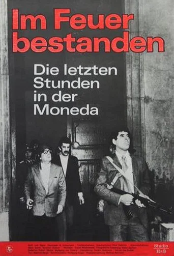 Movie poster for Steadfast in Fire (1978)
