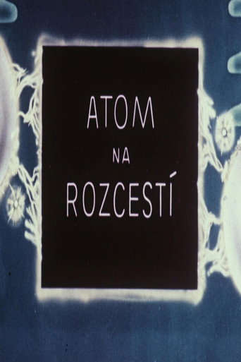 Movie poster for Atom na rozcestí (1947)
