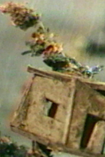Movie poster for The Hundred Videos #4 (1996)
