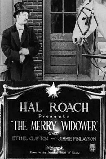 Movie poster for Merry Widower (1926)