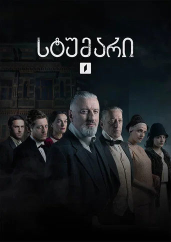 Series poster for სტუმარი (2023)