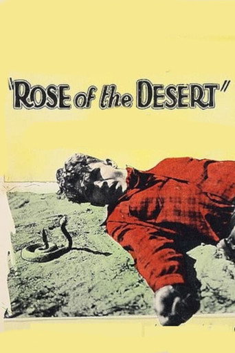 Movie poster for Rose of the Desert (1925)