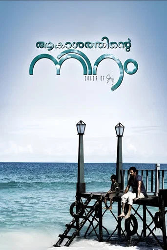 Movie poster for Akashathinte Niram (2012)