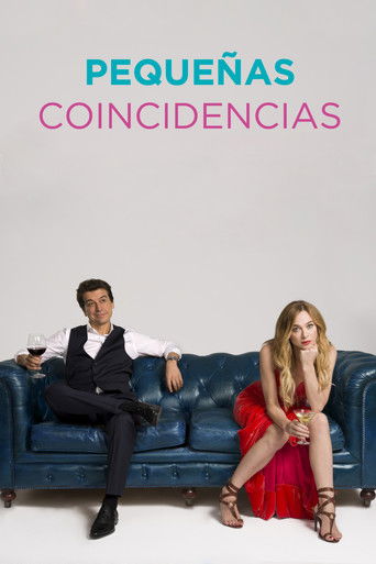 Little Coincidences poster
