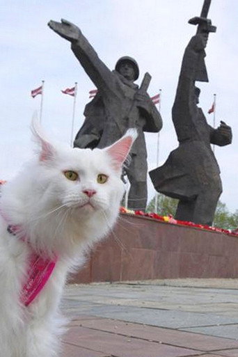 Movie poster for Cats in Riga (2015)