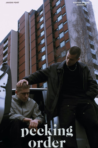 Pecking Order poster