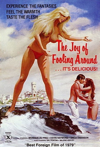 Movie poster for The Joy of Fooling Around (1978)