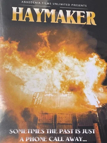 Movie poster for Haymaker (2022)