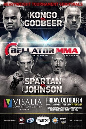 Movie poster for Bellator 102 (2013)