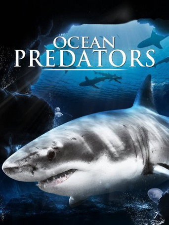 Series poster for Ocean Predators (2019)