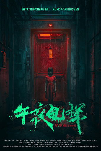 午夜电梯 poster