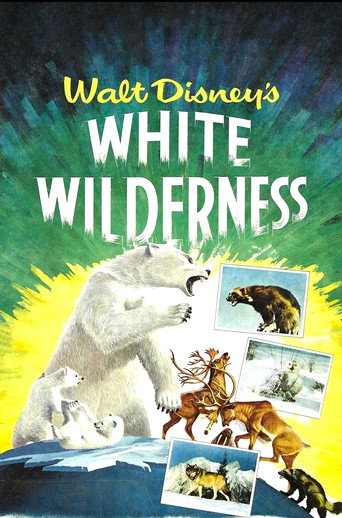 Movie poster for White Wilderness (1958)