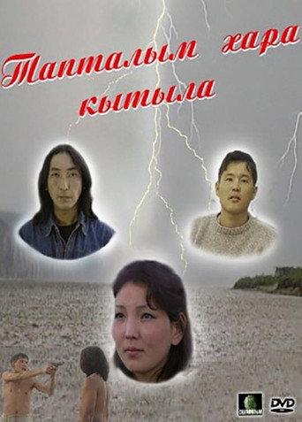 Movie poster for My Love is Black (2003)