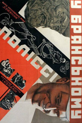 Movie poster for In the Bryansk Polesie (1930)