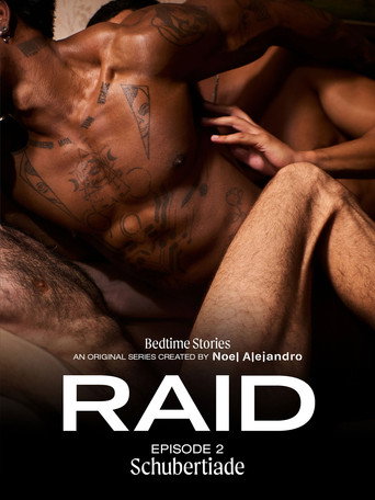 Movie poster for Bedtime Stories: RAID 2 - Schubertiade (2025)