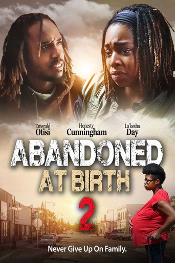 Movie poster for Abandoned at Birth 2 (2024)