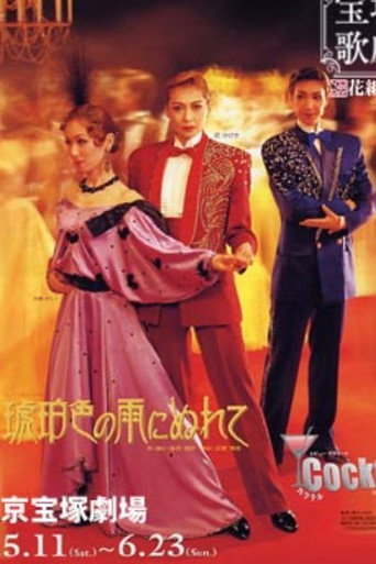 In the Amber-Hued Rain poster