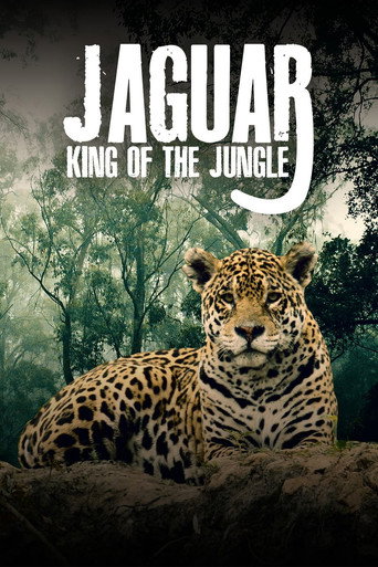 Movie poster for Jaguar: King of the Jungle (2020)