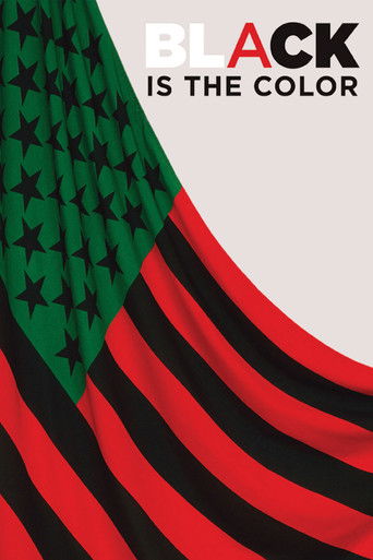 Black Is the Color: African-American Artists and Segregation poster