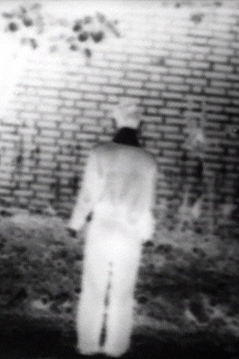 Movie poster for Footsteps (1974)