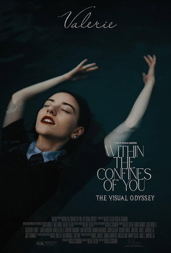 Movie poster for Within the Confines of You: The Visual Odyssey (2024)
