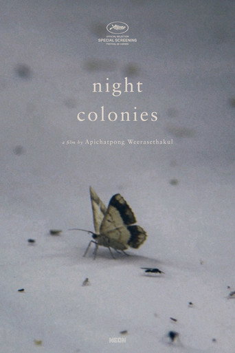 Night Colonies poster