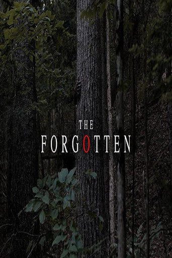 Movie poster for The Forgotten (2018)