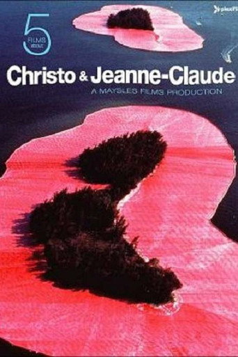 Movie poster for Islands (1987)