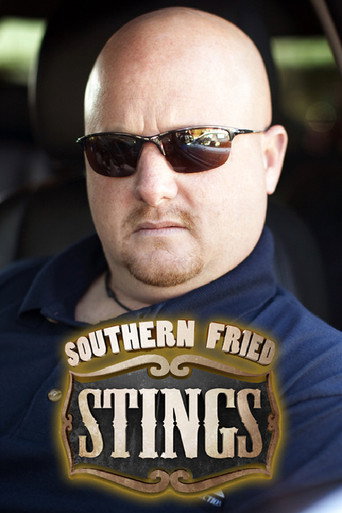 Series poster for Southern Fried Stings (2010)