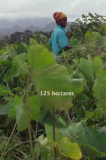 Movie poster for 125 hectares (2019)
