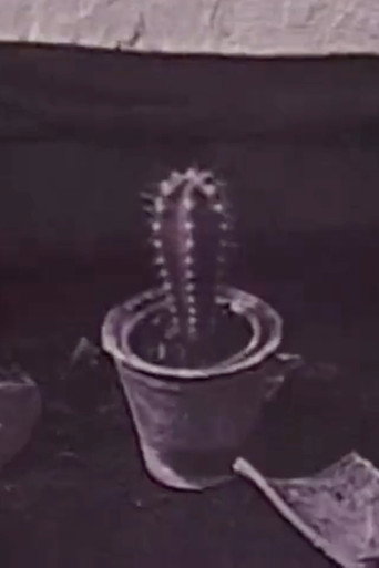 Movie poster for Cactus (1996)