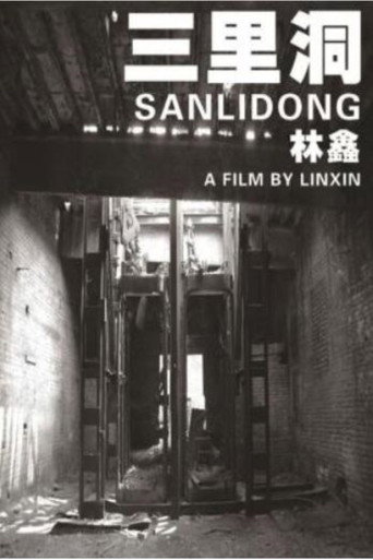 Movie poster for Sanlidong (2007)