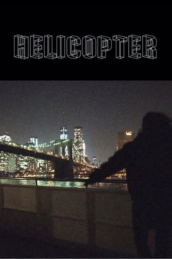 Movie poster for Helicopter (2013)