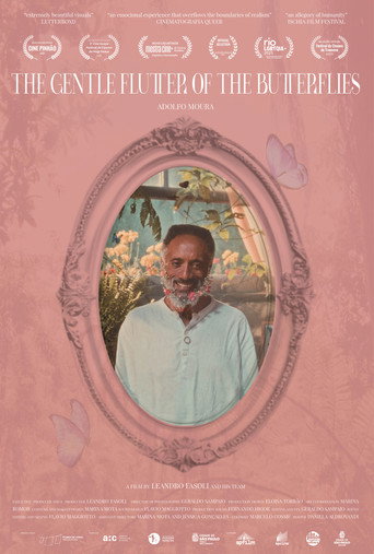 Movie poster for The Gentle Flutter of the Butterflies (2025)