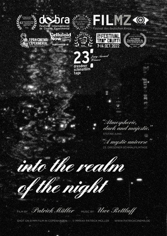 Movie poster for Into the Realm of the Night (2022)