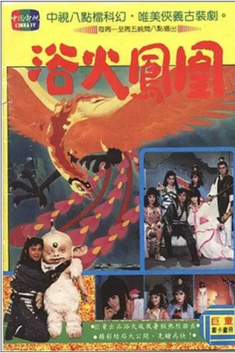Fire Phoenix poster