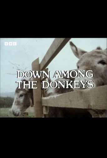 Down Among the Donkeys poster
