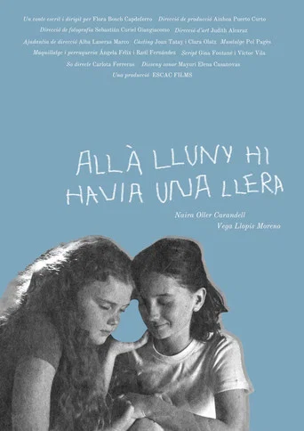 Movie poster for Allà lluny hi havia una llera