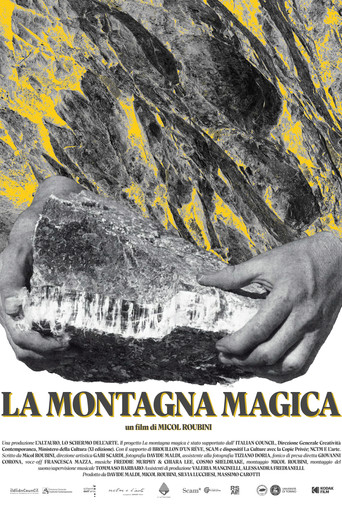 Movie poster for La montagna magica (2025)