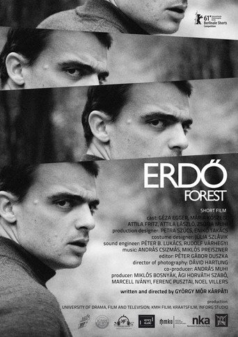 Movie poster for Forest (2011)