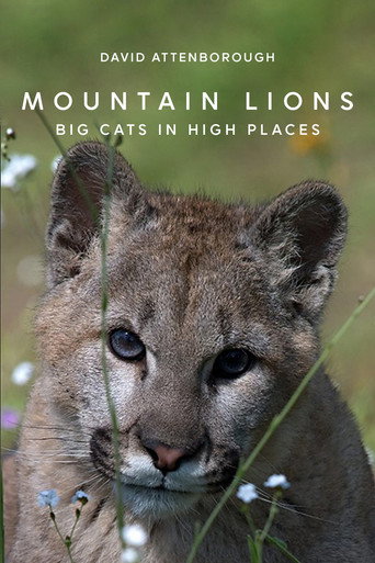 Movie poster for Mountain Lions: Big Cats in High Places (2014)