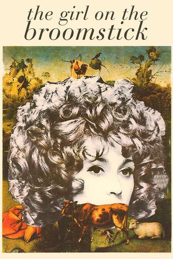 Movie poster for The Girl on the Broomstick (1972)