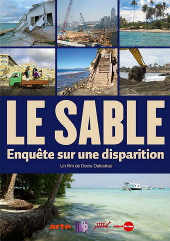 Movie poster for Le sable - Enquête sur une disparition (2013)