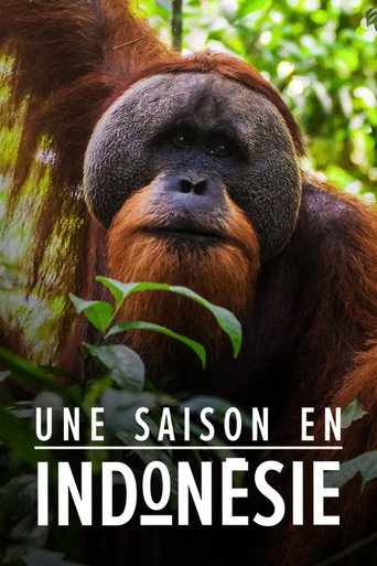 Series poster for Une saison en Indonésie (2019)