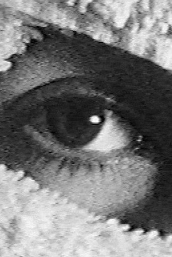 Movie poster for Pneurosis (en el baño) (2001)