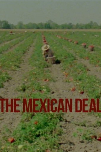 Movie poster for Le Deal mexicain (1980)